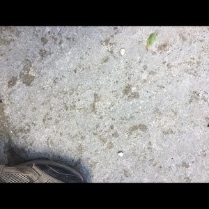 Meet your Posher, Mike